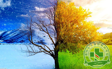 季節反復下的銀屑病預防工作