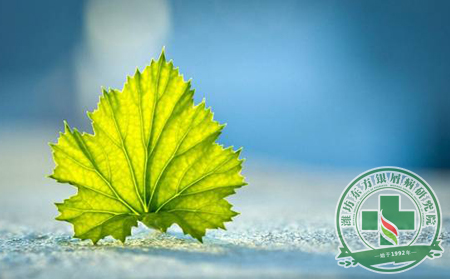 銀屑病山東患者怎樣護理