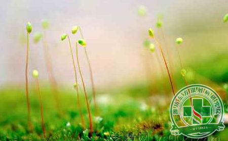 避免銀屑病復發的預防方式有哪些