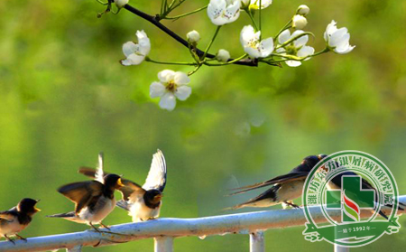 立春過后的三種銀屑病預防方式