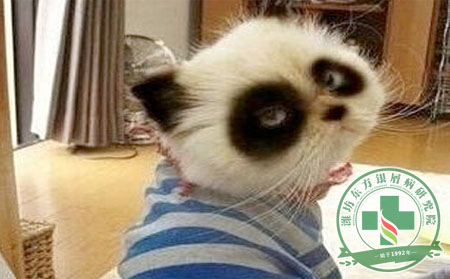 失眠造成的精神萎靡，銀屑病患者怎么緩解？