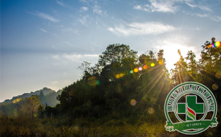 銀屑病預防護理