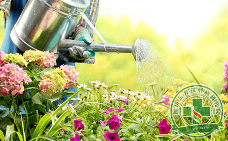 銀屑病護理與生活習慣有共同之處