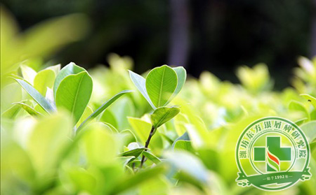 春季預防銀屑病怎樣確保不忙中出錯