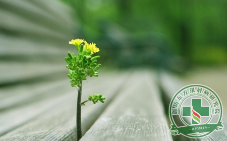 萬木萌發(fā)中預(yù)防銀屑病較適宜的方向