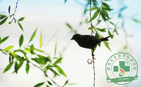 春季銀屑病患者應預防些什么