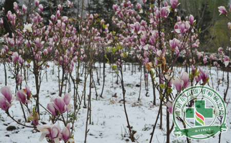 春季降雪銀屑病患者該怎么自我護理