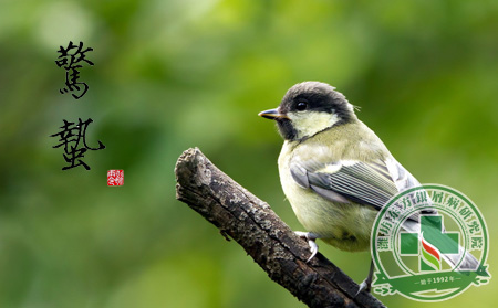 驚蟄節氣銀屑病養生三大要素