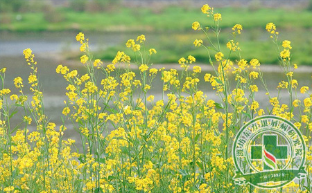 銀屑病預防護理