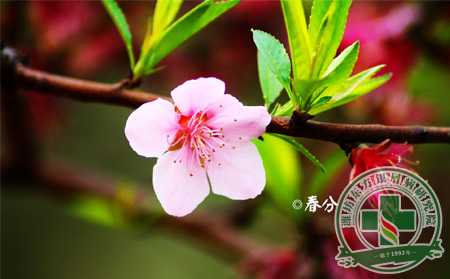 時節近春分 怎樣做到銀屑病護理的謹慎有效