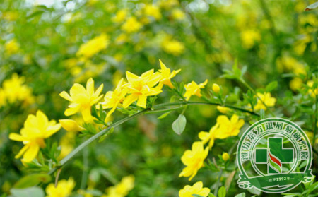 春季銀屑病預防護理