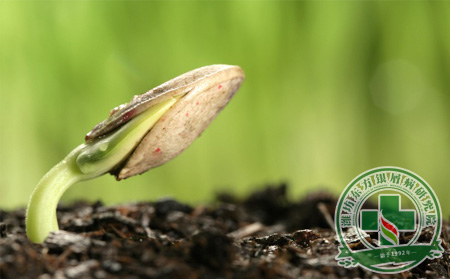 春季萬(wàn)物生，銀屑病患者要如何抓緊機(jī)會(huì)養(yǎng)肝護(hù)肝