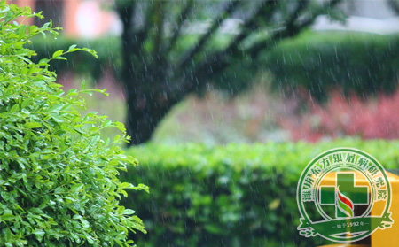 春雨后空氣濕 銀屑病患者怎么辦