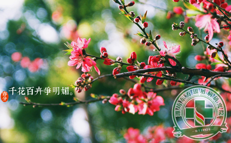 春分來(lái)臨前 銀屑病患者應(yīng)該關(guān)注的養(yǎng)生玉律