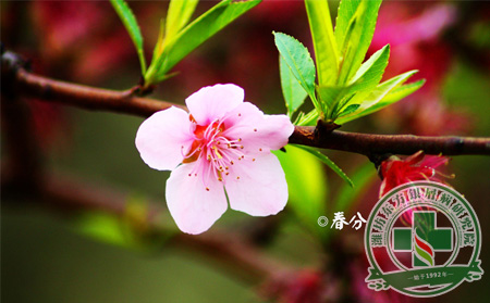 驚蟄過春分至，銀屑病患者要做好哪些護理舉措