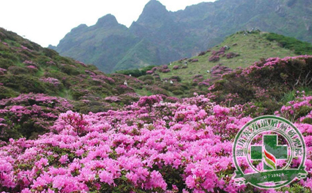 銀屑病春季高發期預防新攻略