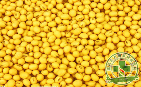 提高記憶力的飲食