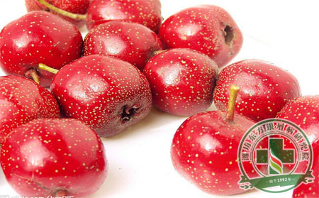 飲食調節內分泌