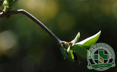 皮損問題春季漸可以轉，是不是銀屑病護理起了作用