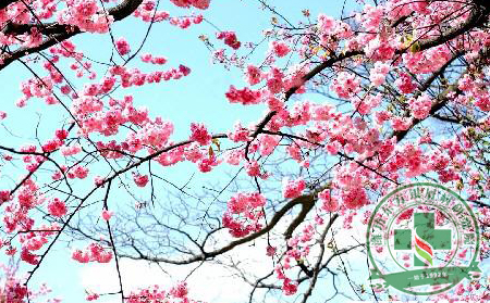 春城無處不飛花，銀屑病患者護理新標準