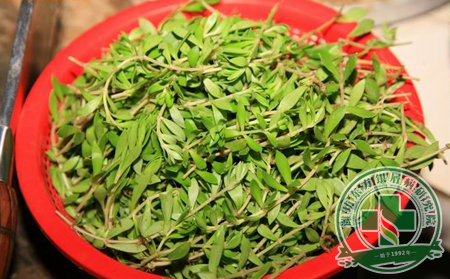 增壽又美顏！銀屑病患者首推四大食材