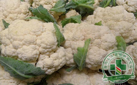 幾種飲食習慣,呵護銀屑病患者口腔健康