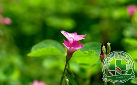 春天預防銀屑病要細心，護理銀屑病要認真
