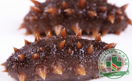 海參滋養又大補,銀屑病患者食用當慎之又慎