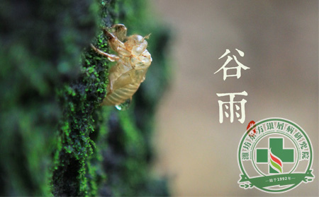 谷雨將至春季收尾 銀屑病患者種下健康收獲未來