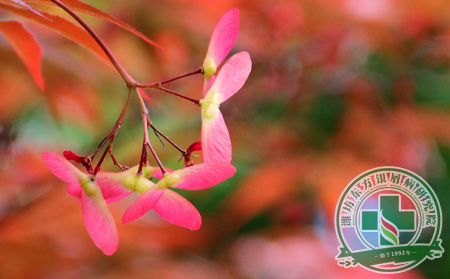 春病來臨，銀屑病患者應(yīng)打開三層“防護罩”