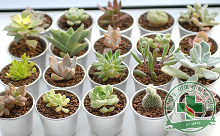 銀屑病預防護理