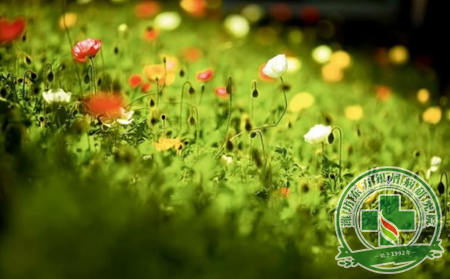 春天已過半,對銀屑病絕不可任之放之