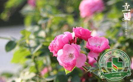 立夏銀屑病養生