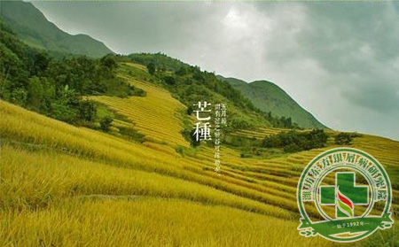 芒種前后銀屑病患者的護理問題可以怎樣調整