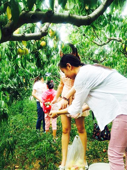 攜手相助果農，共建大美濰坊