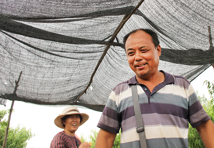 攜手相助果農，共建大美濰坊