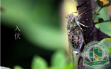 三伏天健康過(guò) 入伏后銀屑病患者需要注意哪些護(hù)理問(wèn)題