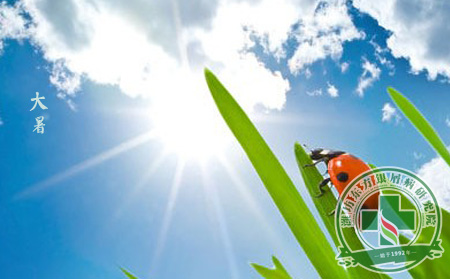 大暑節氣里銀屑病患者更應預防高溫天氣