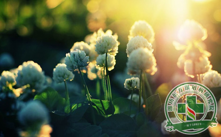 夏季的濰坊銀屑病患者應(yīng)該怎么健康度過