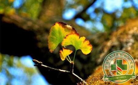 夏秋換季濰坊銀屑病患者的預防護理問題