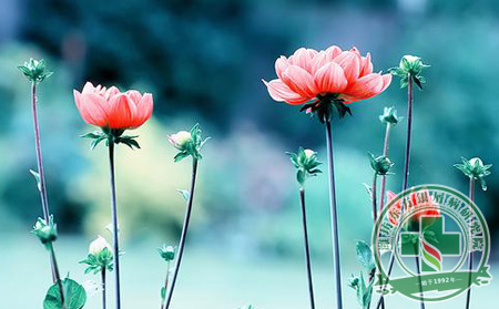 患者做出什么樣的改變可降低銀屑病侵害