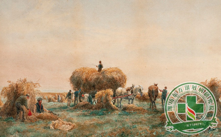 秋收農忙 銀屑病患者如何護理身體工作病情兩不誤