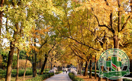 樂享金秋 銀屑病秋季護理知多少