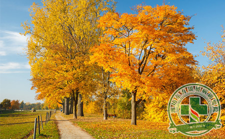 秋季為了有效預防銀屑病復發這些問題患者要記可以