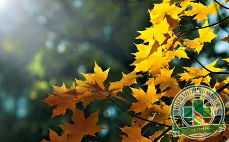 得了銀屑病肌膚干燥發癢 秋季護膚建議輕松保濕