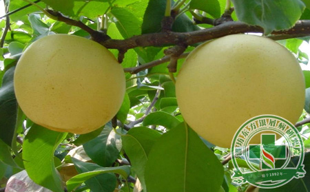 潤肺去燥是秋季銀屑病患者的飲食之道