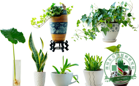 供暖季 銀屑病患者室內(nèi)增濕的新花樣