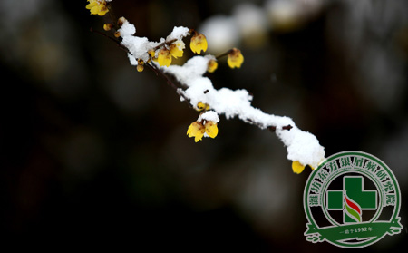 銀屑病冬季防反復預防辦法有哪些