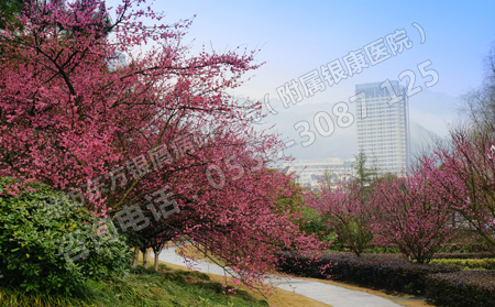 年后春季如何預(yù)防銀屑病復(fù)發(fā)