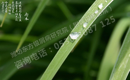 雨水節氣銀屑病患者護理的重點